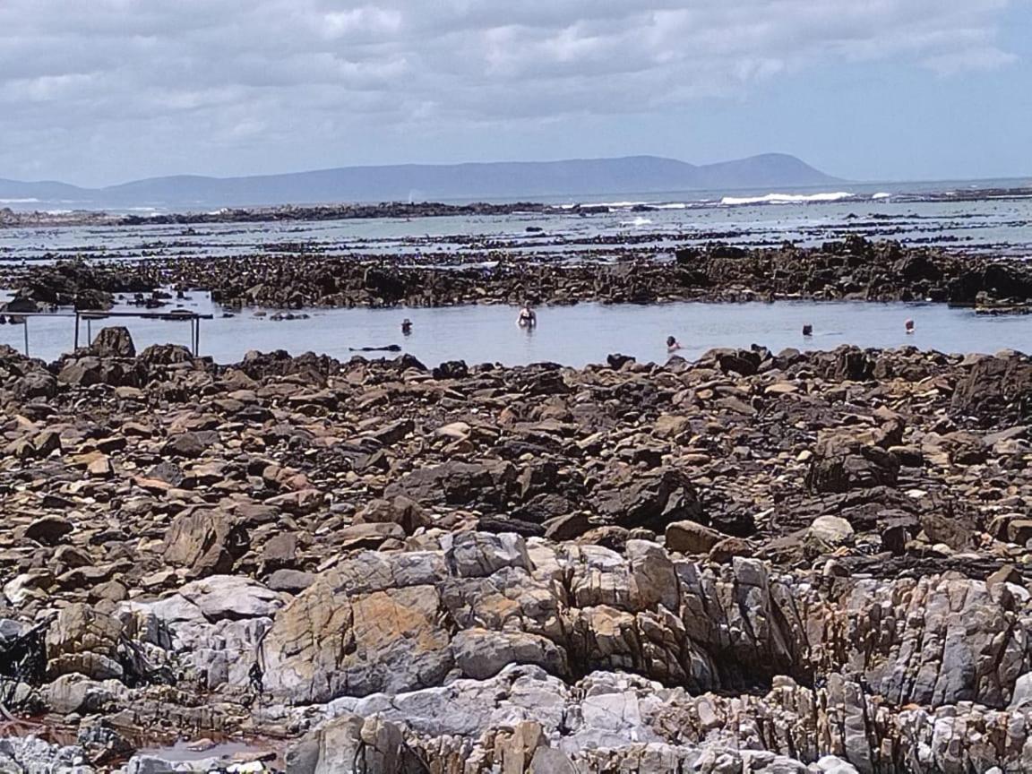 Matshana Lodge Hermanus Dış mekan fotoğraf