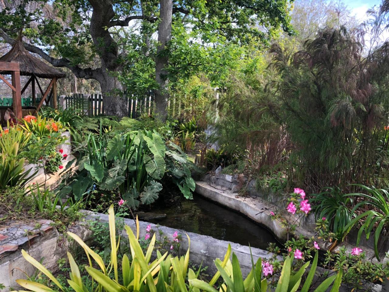 Matshana Lodge Hermanus Dış mekan fotoğraf